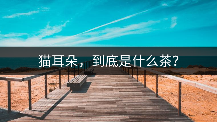 貓耳朵，到底是什么茶？