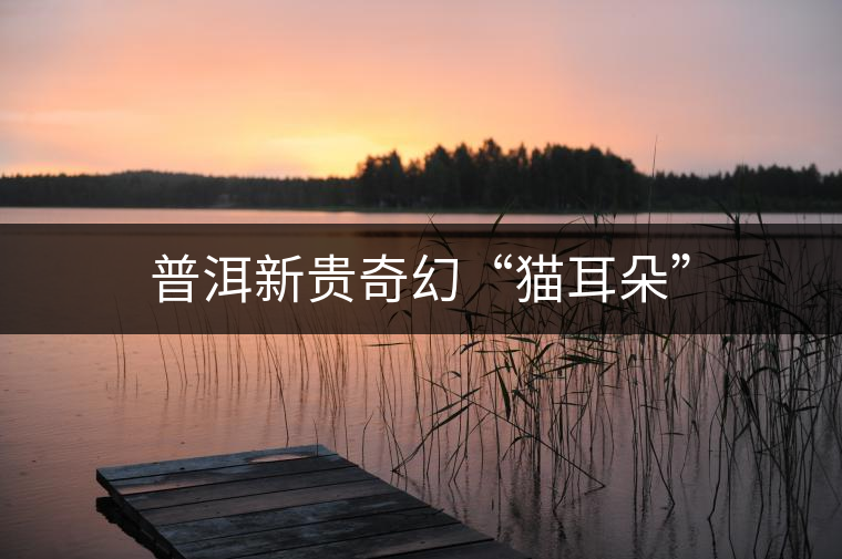 普洱新貴奇幻“貓耳朵” 普洱新貴奇幻“貓耳朵”