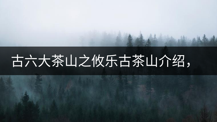古六大茶山之攸樂(lè)古茶山介紹，攸樂(lè)古樹(shù)茶口感特點(diǎn)