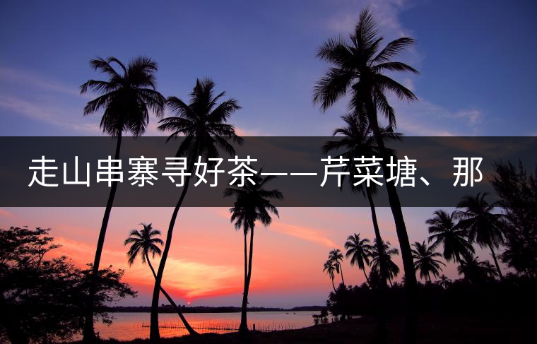 走山串寨尋好茶——芹菜塘、那罕、曼崗、昔歸