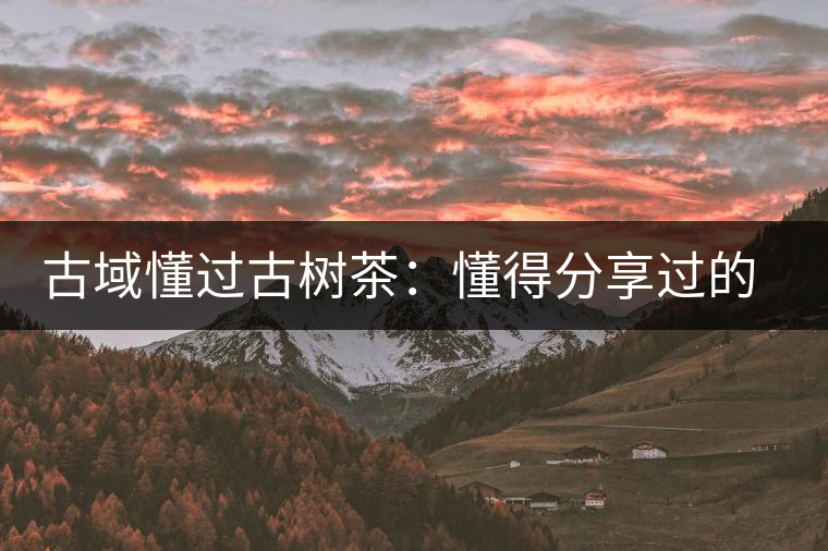 古域懂過古樹茶：懂得分享過的快樂，方為懂過