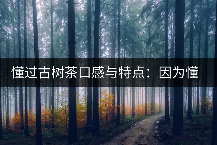 懂過古樹茶口感與特點：因為懂得，所以舍得用余生來珍惜！