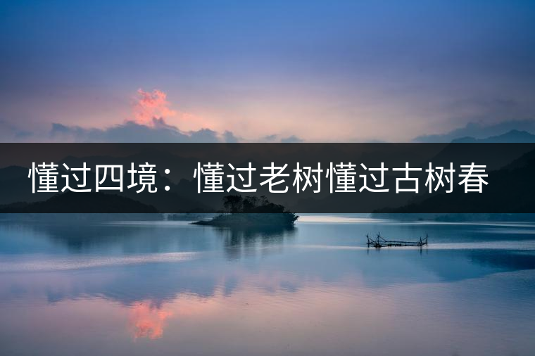 懂過(guò)四境:懂過(guò)老樹(shù)懂過(guò)古樹(shù)春秋和磨烈古樹(shù)茶 懂過(guò)四境:懂過(guò)老樹(shù)懂過(guò)古樹(shù)春秋和磨烈古樹(shù)茶