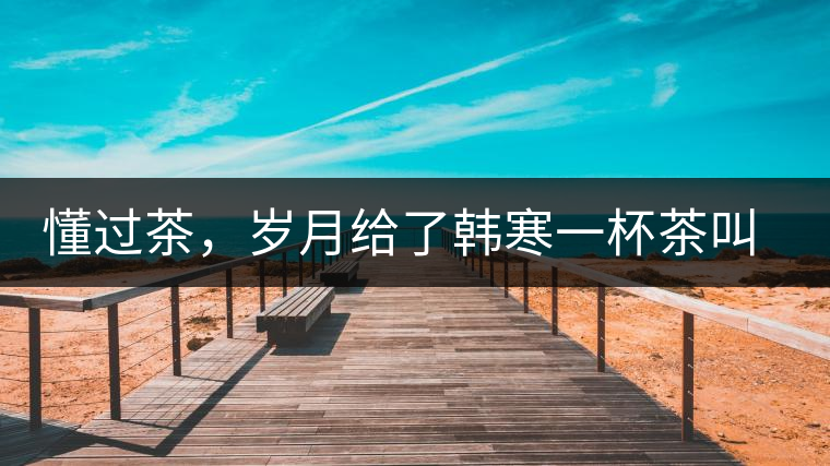 懂過茶，歲月給了韓寒一杯茶叫懂過