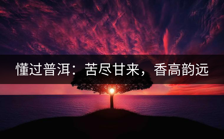 懂過普洱：苦盡甘來，香高韻遠
