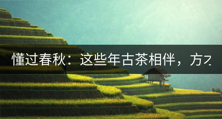 懂過春秋：這些年古茶相伴，方才懂過！