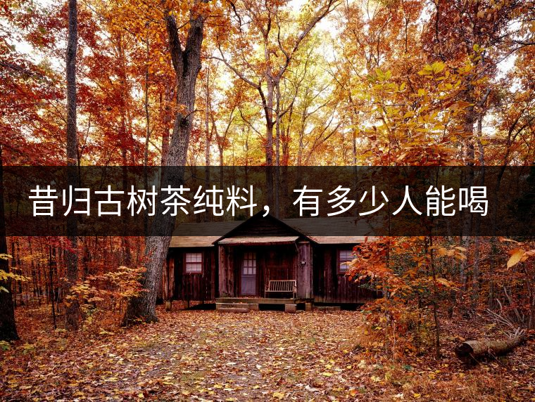 昔歸古樹(shù)茶純料，有多少人能喝到真品