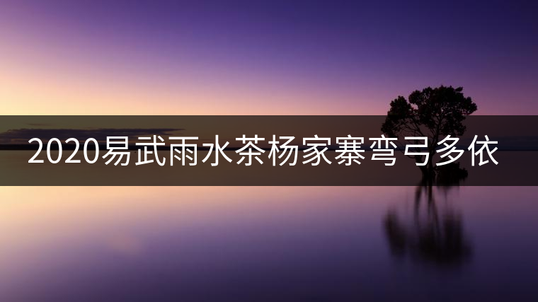 2020易武雨水茶楊家寨彎弓多依樹