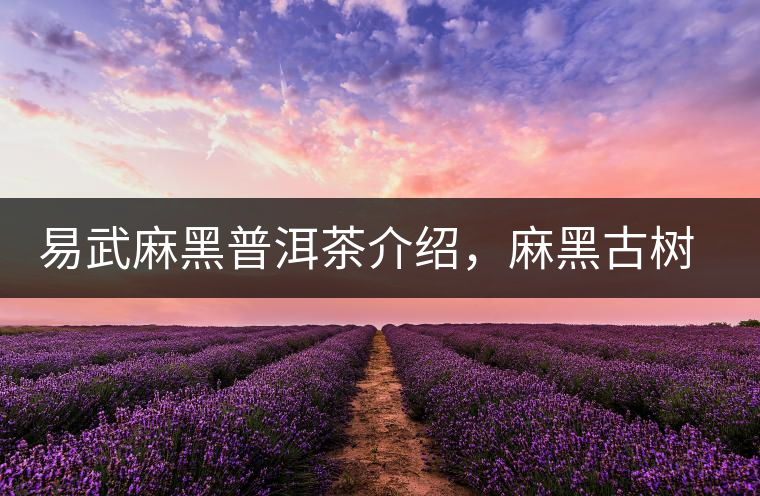 易武麻黑普洱茶介紹，麻黑古樹茶口感特點(diǎn)