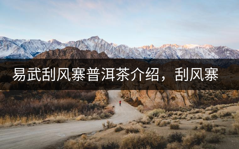 易武刮風寨普洱茶介紹，刮風寨古樹茶口感特點