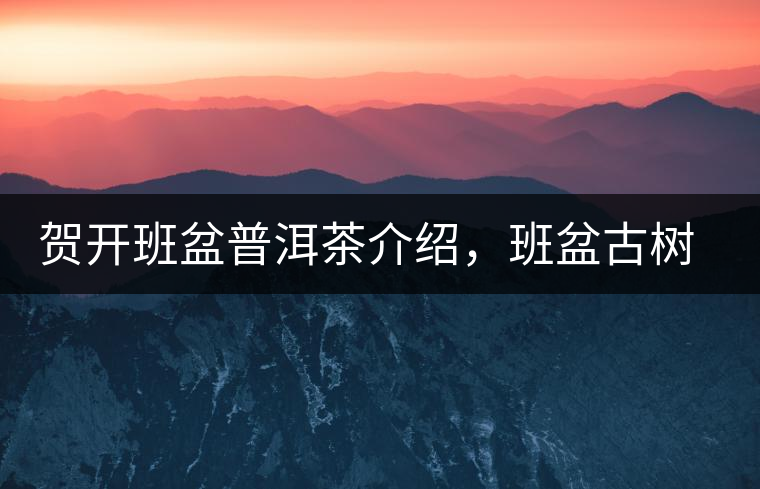 賀開(kāi)班盆普洱茶介紹，班盆古樹(shù)茶口感特點(diǎn)