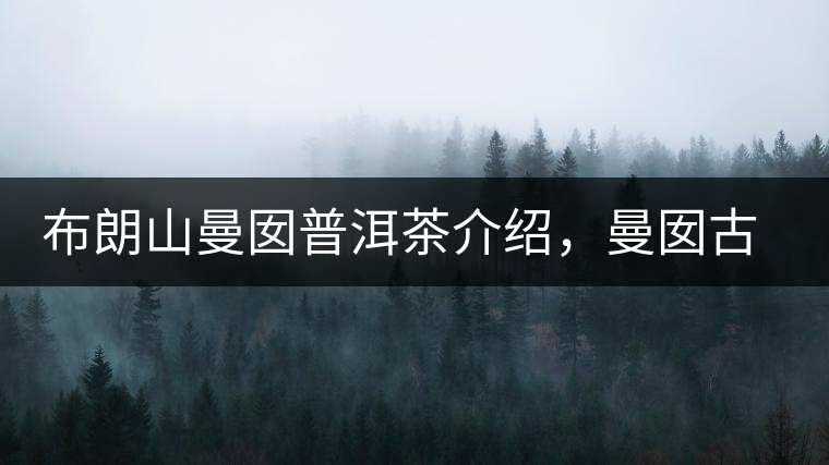 布朗山曼囡普洱茶介紹，曼囡古樹茶口感特點