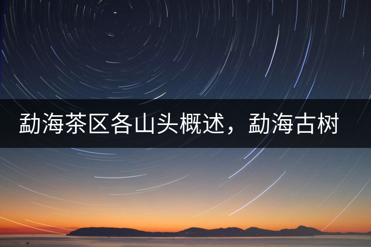 勐海茶區(qū)各山頭概述，勐海古樹茶口感特點