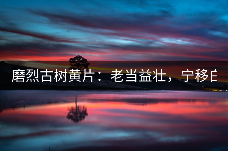 磨烈古樹黃片：老當益壯，寧移白首之心！