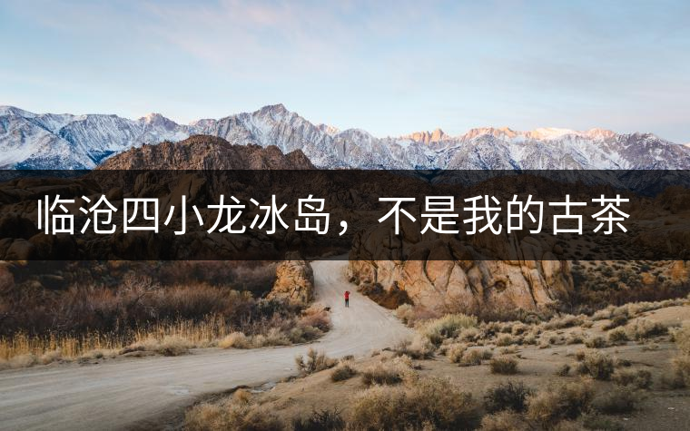 臨滄四小龍冰島，不是我的古茶夢