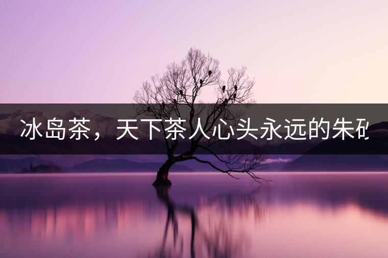 冰島茶，天下茶人心頭永遠(yuǎn)的朱砂痣！