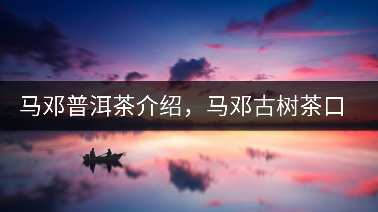 馬鄧普洱茶介紹，馬鄧古樹茶口感特點(diǎn)