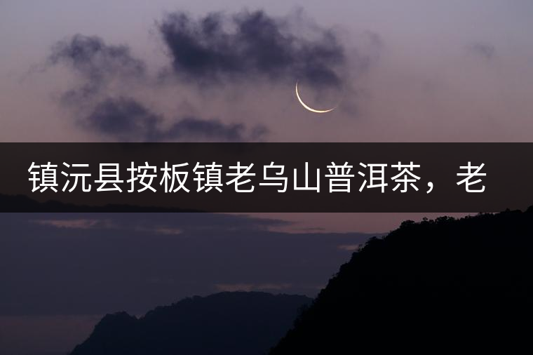 鎮(zhèn)沅縣按板鎮(zhèn)老烏山普洱茶，老烏山古樹(shù)茶口感特點(diǎn)