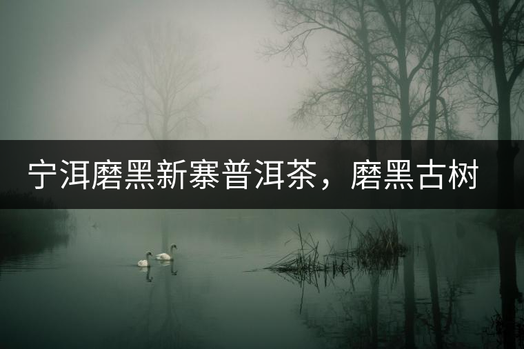 寧洱磨黑新寨普洱茶，磨黑古樹茶口感特點