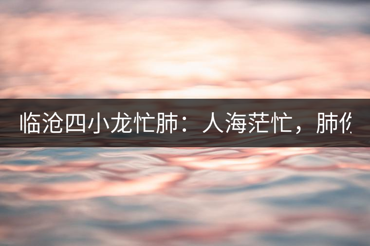 臨滄四小龍忙肺：人海茫忙，肺你莫屬！