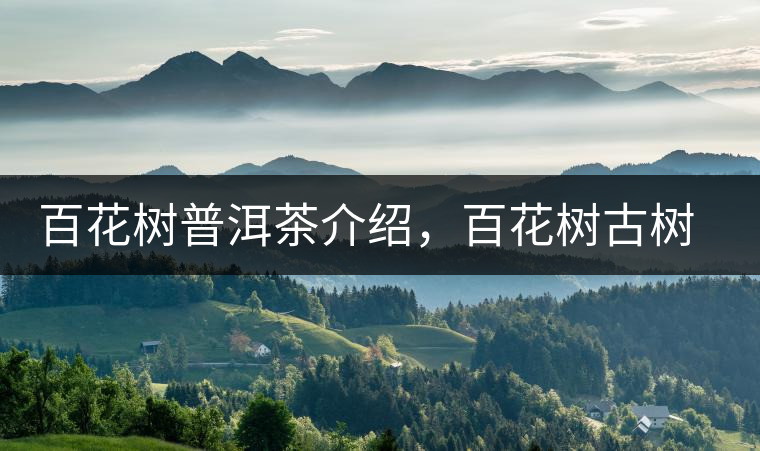 百花樹普洱茶介紹，百花樹古樹茶口感特點(diǎn)