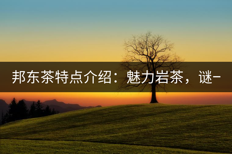 邦東茶特點介紹：魅力巖茶，謎一樣的邦東！