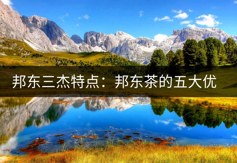 邦東三杰特點(diǎn):邦東茶的五大優(yōu)點(diǎn)和五大缺點(diǎn) 邦東三杰特點(diǎn):邦東茶的五大優(yōu)點(diǎn)和五大缺點(diǎn)