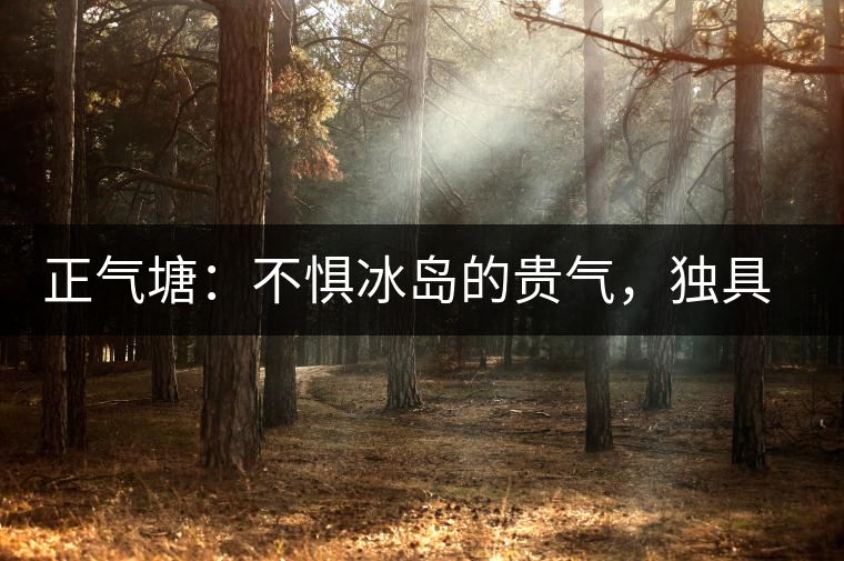 正氣塘：不懼冰島的貴氣，獨具冰島之魅力