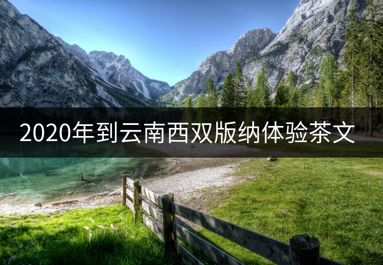 2020年到云南西雙版納體驗茶文化旅游！