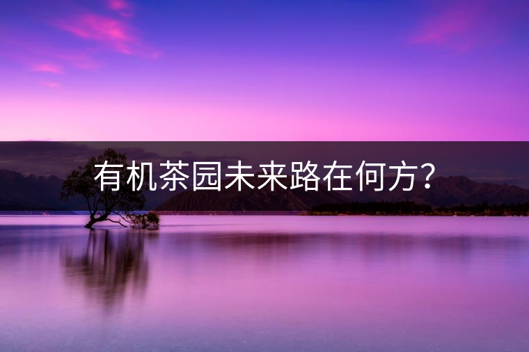 有機茶園未來路在何方？