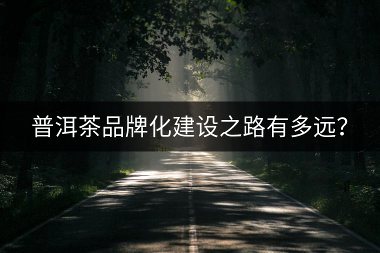 普洱茶品牌化建設(shè)之路有多遠(yuǎn)？