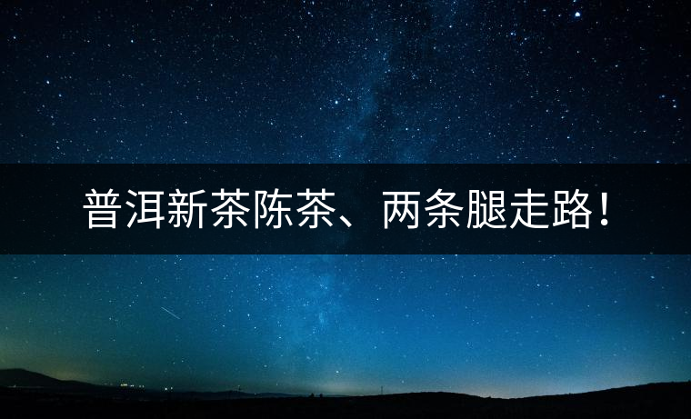 普洱新茶陳茶、兩條腿走路！