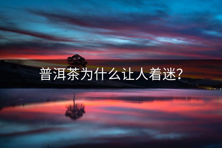 普洱茶為什么讓人著迷？