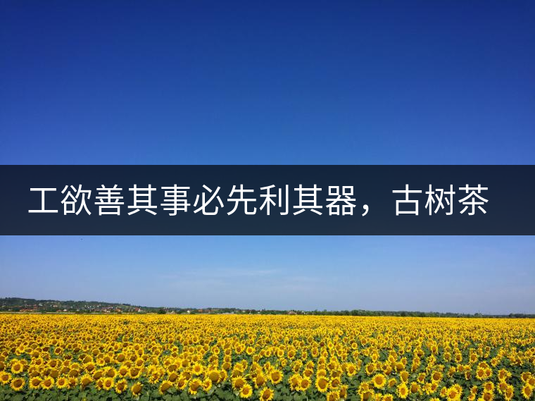 工欲善其事必先利其器，古樹(shù)茶用什么茶器最好？