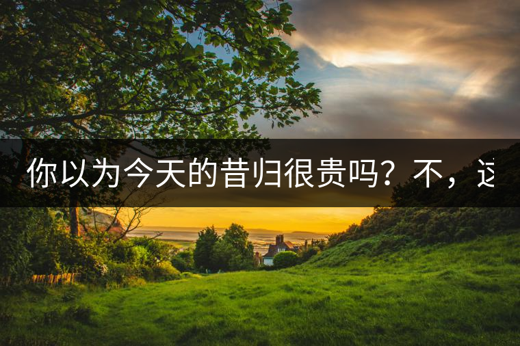 你以為今天的昔歸很貴嗎？不，這只是開始！