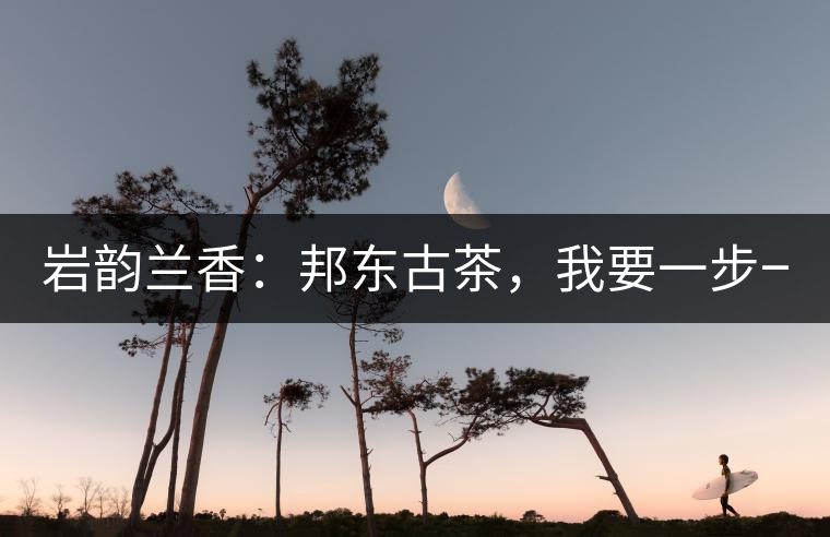 巖韻蘭香：邦東古茶，我要一步一步往上爬！