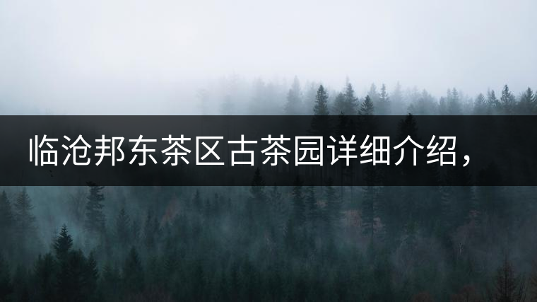 臨滄邦東茶區(qū)古茶園詳細(xì)介紹，邦東古樹茶特點(diǎn)