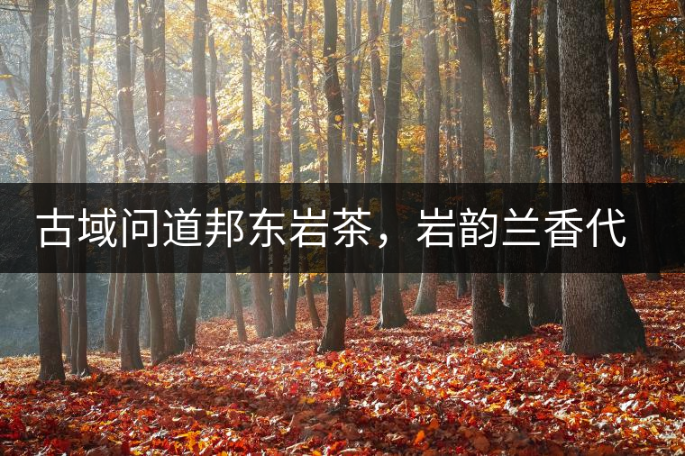 古域問道邦東巖茶,巖韻蘭香代表邦東古樹茶特點 古域問道邦東巖茶,巖韻蘭香代表邦東古樹茶特點