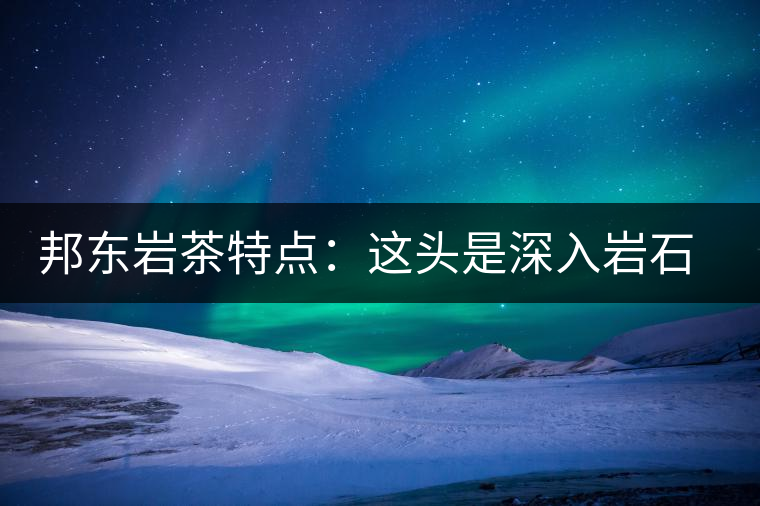 邦東巖茶特點(diǎn)：這頭是深入巖石的根，那頭是臨風(fēng)飄香的古韻