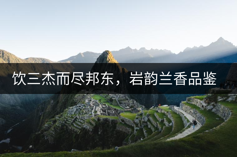 飲三杰而盡邦東，巖韻蘭香品鑒：生于山石上，韻味正當