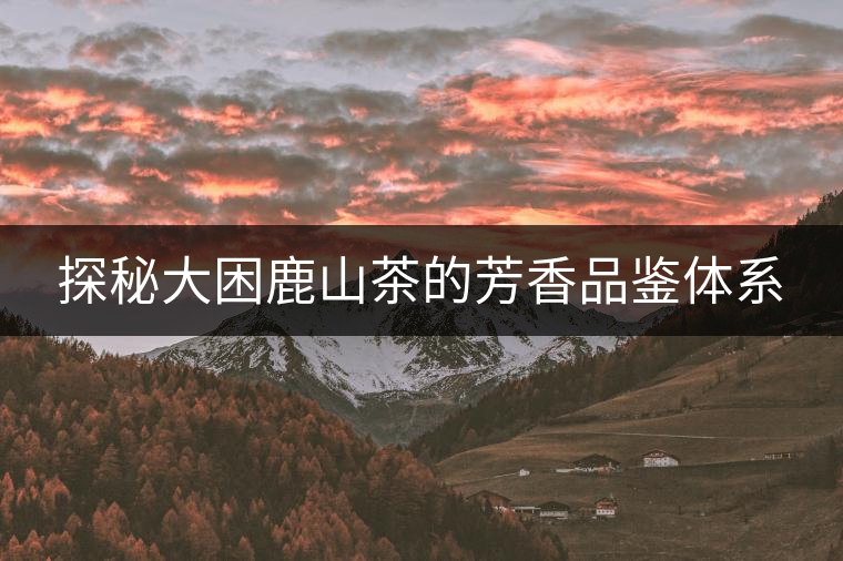 探秘大困鹿山茶的芳香品鑒體系 探秘大困鹿山茶的芳香品鑒體系