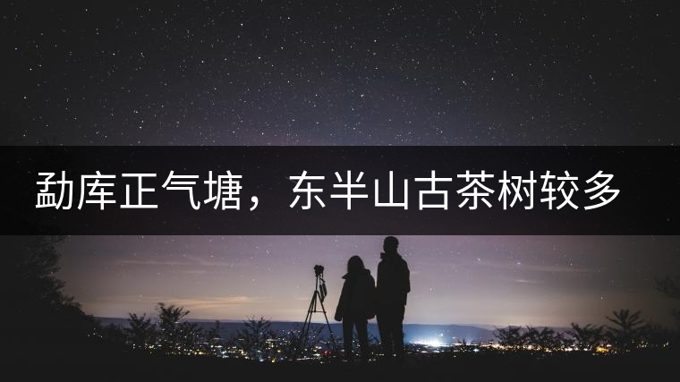 勐庫正氣塘，東半山古茶樹較多的寨子