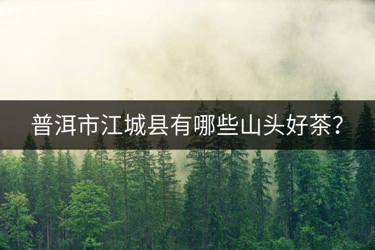 普洱市江城縣有哪些山頭好茶？