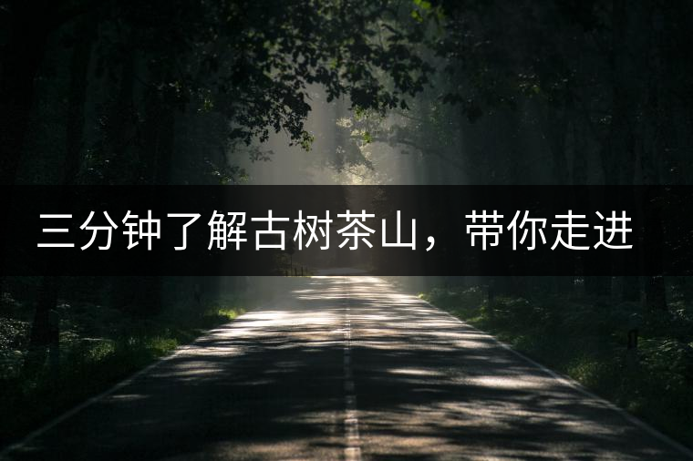 三分鐘了解古樹茶山，帶你走進(jìn)西蒙佛殿山