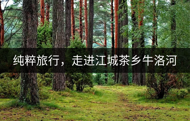 純粹旅行，走進江城茶鄉(xiāng)牛洛河
