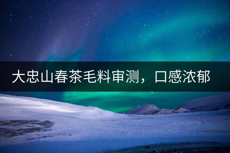 大忠山春茶毛料審測，口感濃郁花香與甜潤口感相得益彰