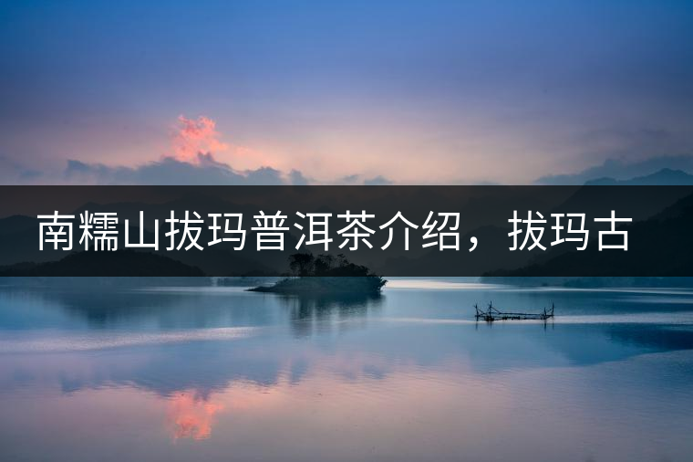 南糯山拔瑪普洱茶介紹，拔瑪古樹茶口感特點(diǎn)