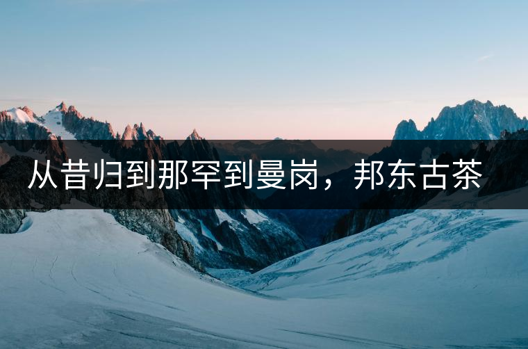 從昔歸到那罕到曼崗，邦東古茶藏著一條規(guī)律！