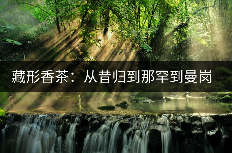 藏形香茶：從昔歸到那罕到曼崗，邦東古茶藏著一條規(guī)律！