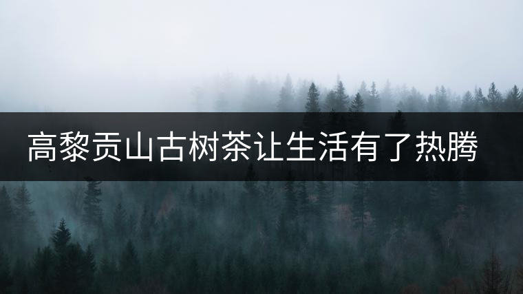 高黎貢山古樹(shù)茶讓生活有了熱騰的醉意